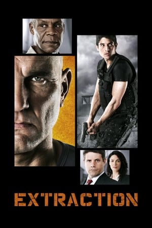 Extraction 2013 Hindi Dual Audio 720p WebRip [1.4GB]