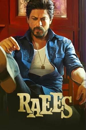 Raees 2017 Full Movie Bluray 720p [1.2GB] Download