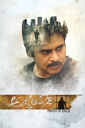 Yevadu 3 (Agnyaathavaasi) 2018 Movie Dual Audio Hindi 720p UnCut HDRip [1.5GB]